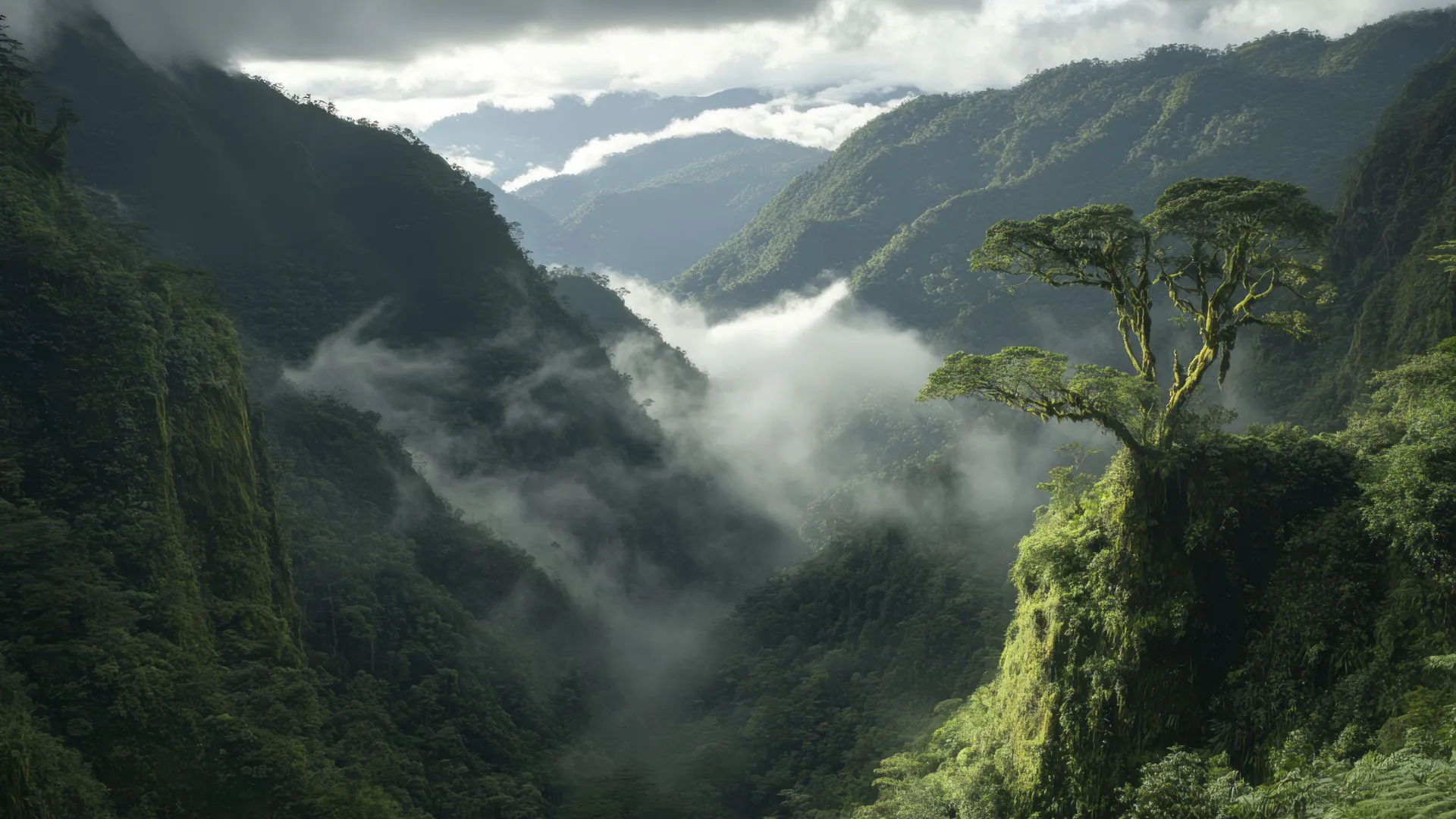 ins风 风景 cloud forest 山丘 云 壁纸预览