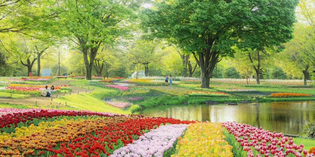 春 花卉 绿意盎然 大自然 风景 壁纸预览
