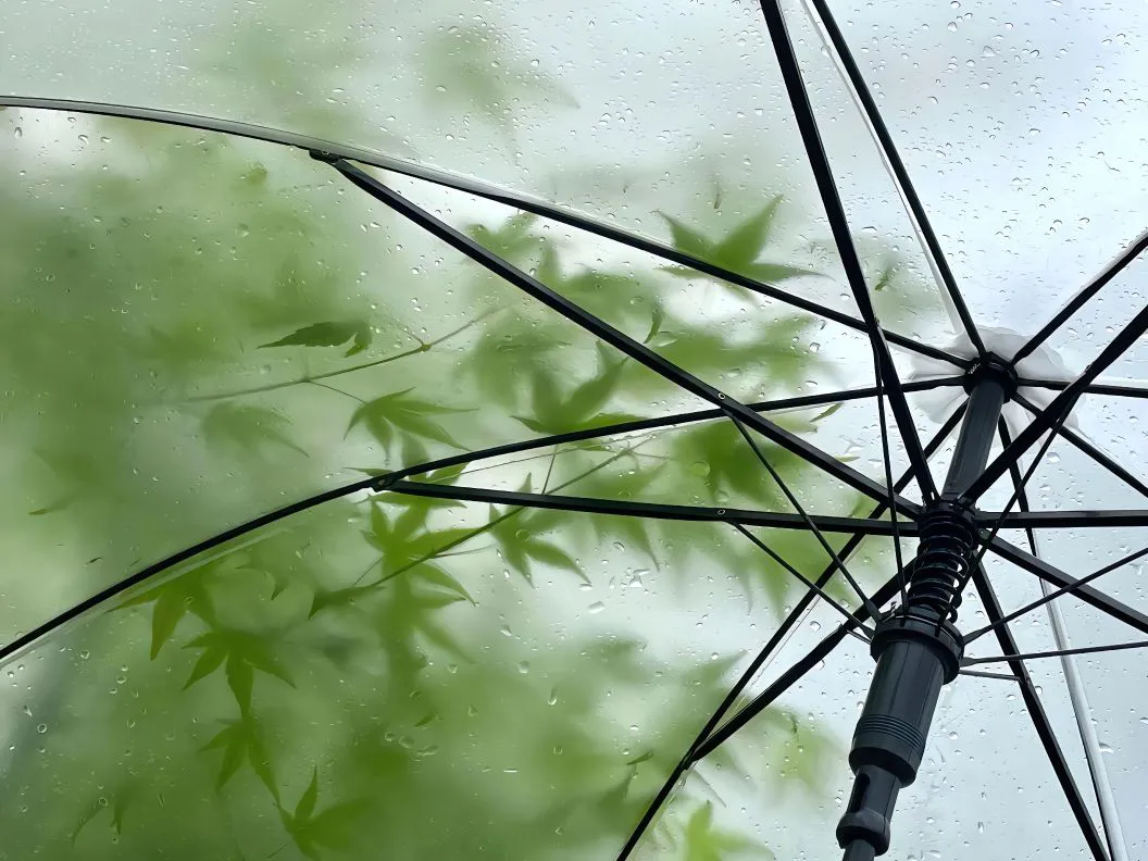 雨伞 竹 水墨 新中式 风景 壁纸预览