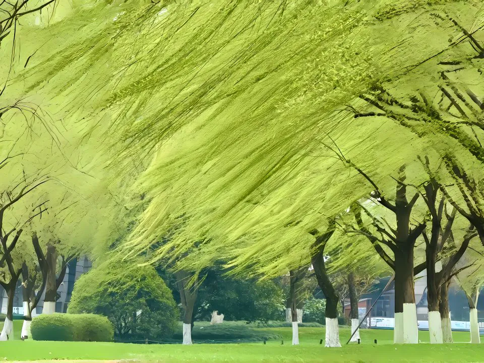 风景 好看 绝美 绿色系 护眼 悠闲 壁纸预览