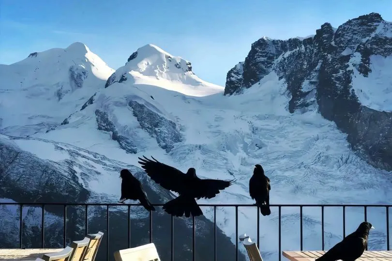 风景 雪景 绝美 壁纸预览