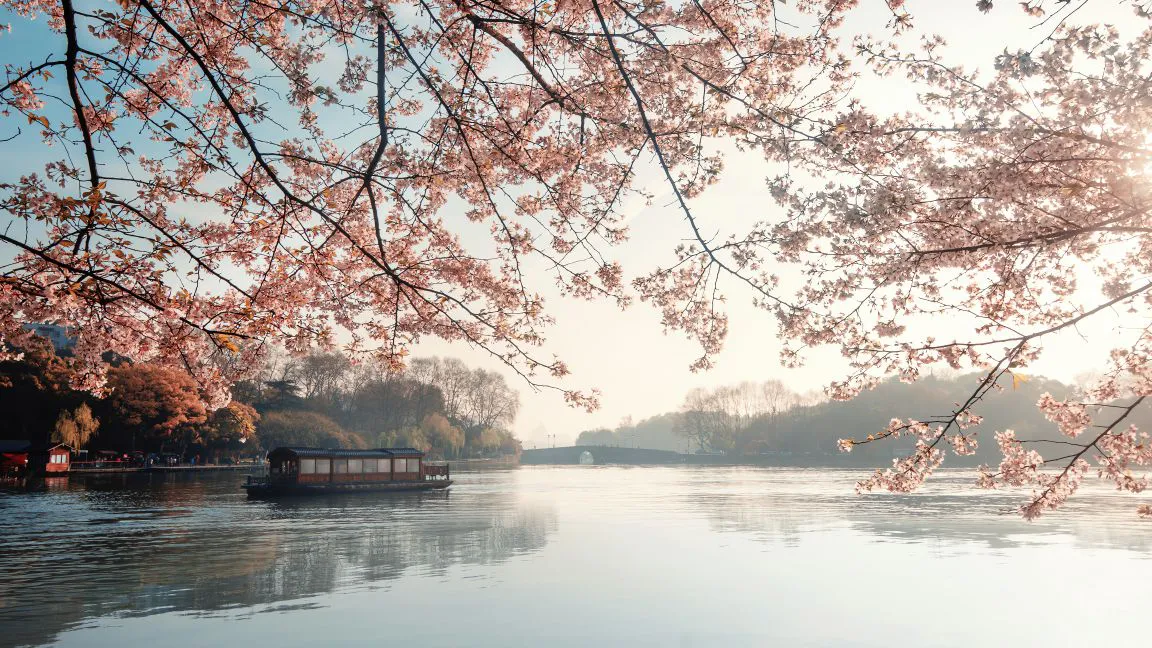湖边 水 大自然 植物 风景 Hangzhou City 壁纸预览