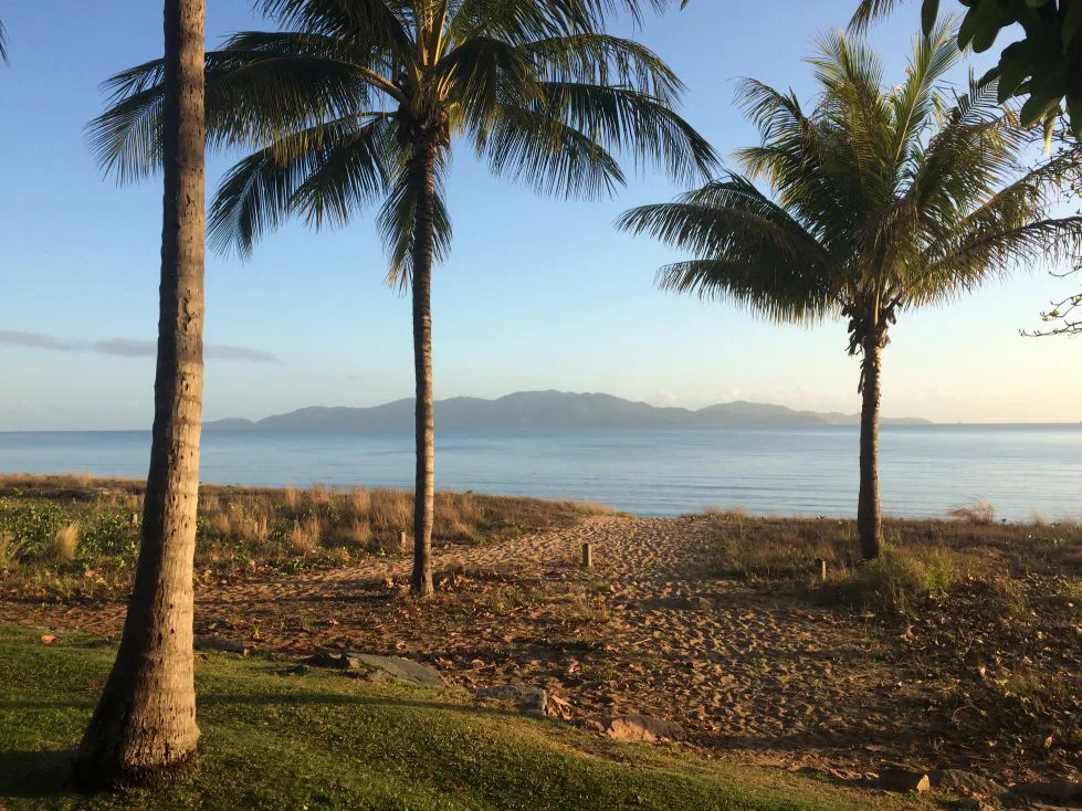 风景 休闲时光 超好看的风景 ins风 Breezy Palms 壁纸预览