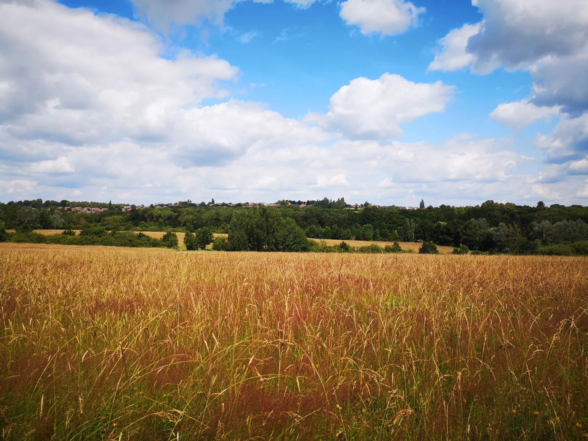 风景 休闲时光 超好看的风景 ins风 British Countryside 壁纸预览