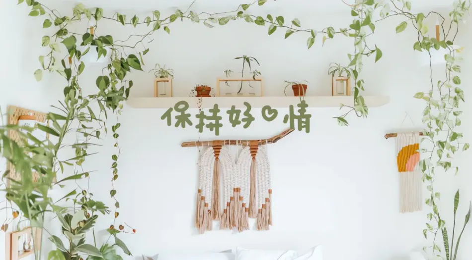 浪漫,鲜花,文字,ins风(分类) 壁纸预览