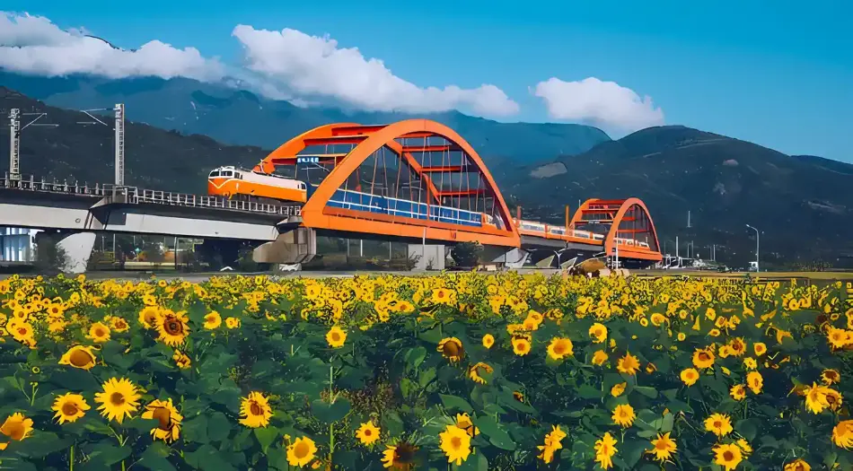 向日葵花海,橙色火车,拱形大桥,蓝天白云,青山远景,清新治愈,高饱和度,风景壁纸 壁纸预览